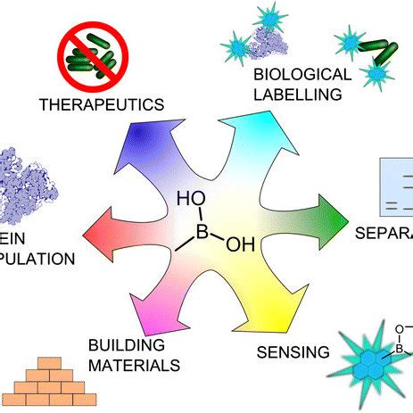 boronic|Boronic acids for sensing and other applications